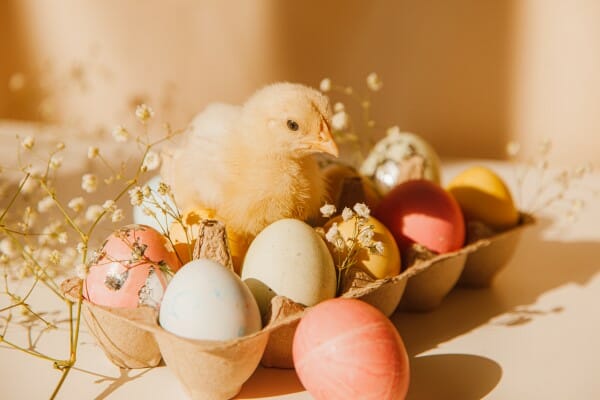 Quel est l'œuf de Pâques qui vous correspond ?