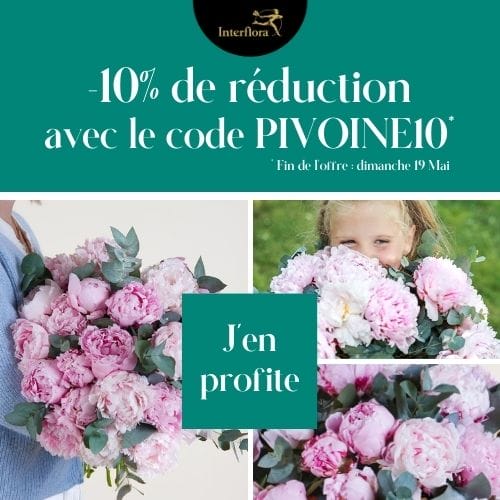 Promotion Interflora -10% de réduction sur le bouquet Maman d'exception avec le code PIVOINE10