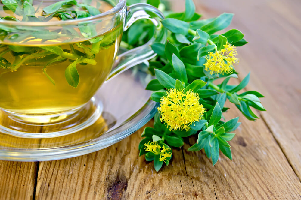 Rhodiole posée à côté d'une tasse de thé