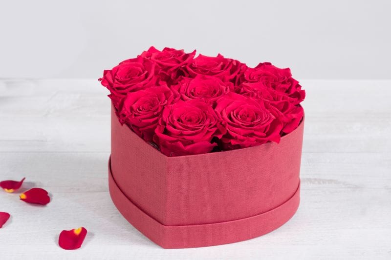 Roses stabilisées dans une boîte en forme de coeur