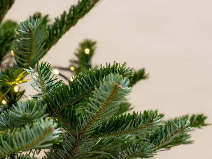 Sapin de noël naturel