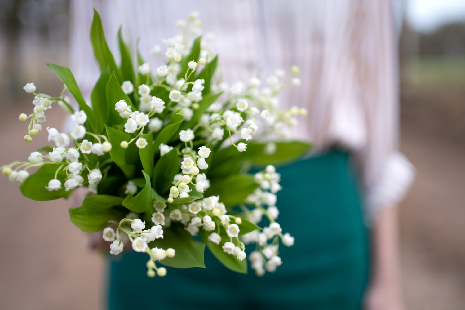 Bouquet de muguet