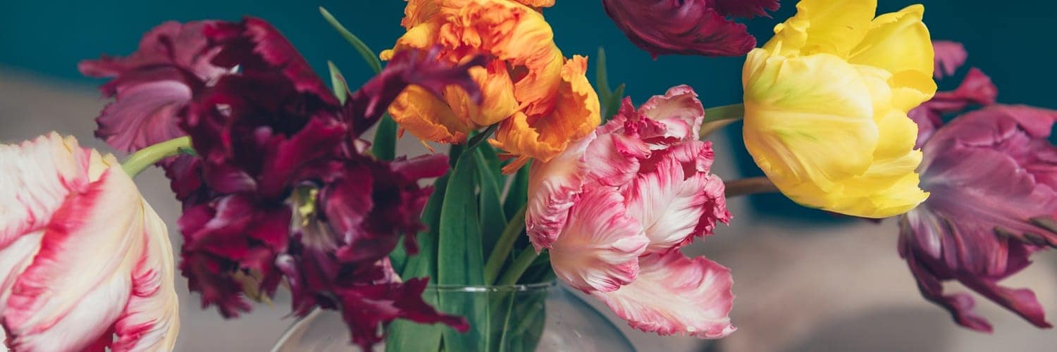 Un bouquet de tulipes perroquet de différentes couleurs dans un vase