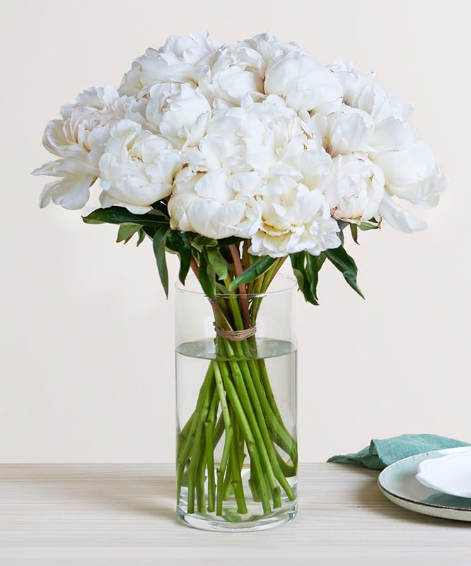 Bouquet de pivoines blanches dans un vase transparent
