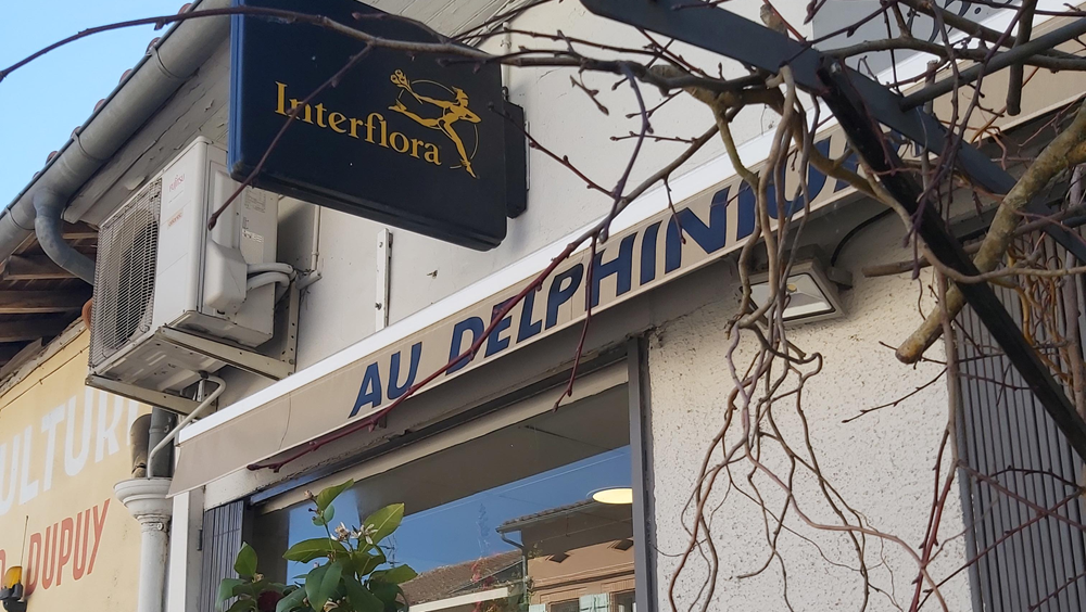 Au Delphinium