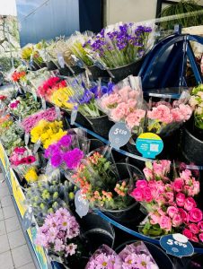 boutique-monceau-fleurs-montpellier-2