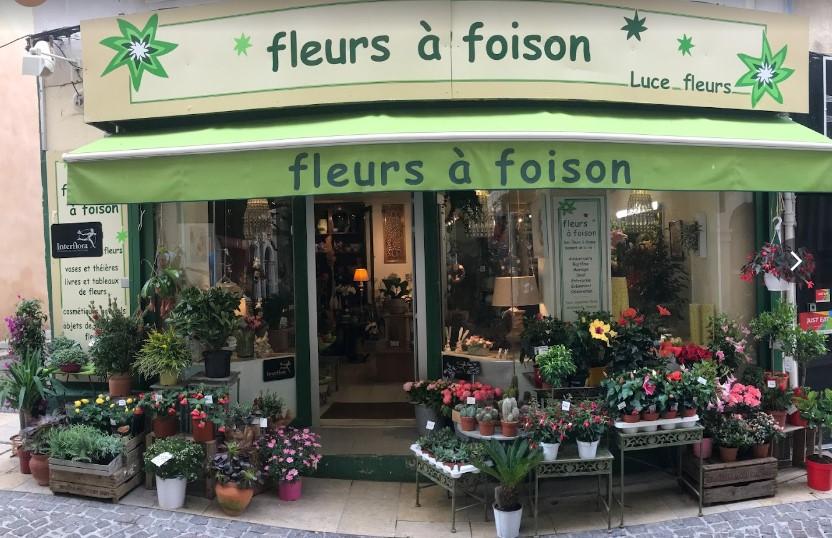 Fleurs A Foison