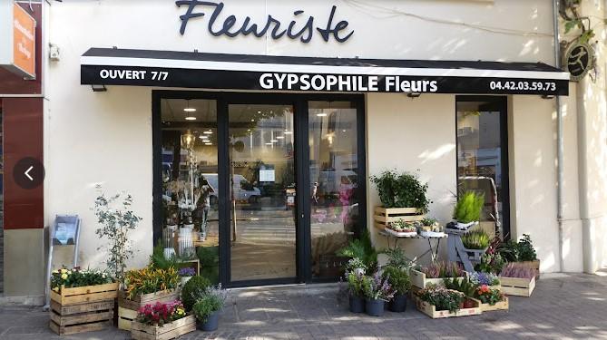 Gypsophile Fleurs