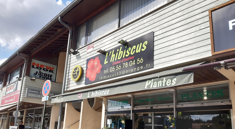 L'hibiscus