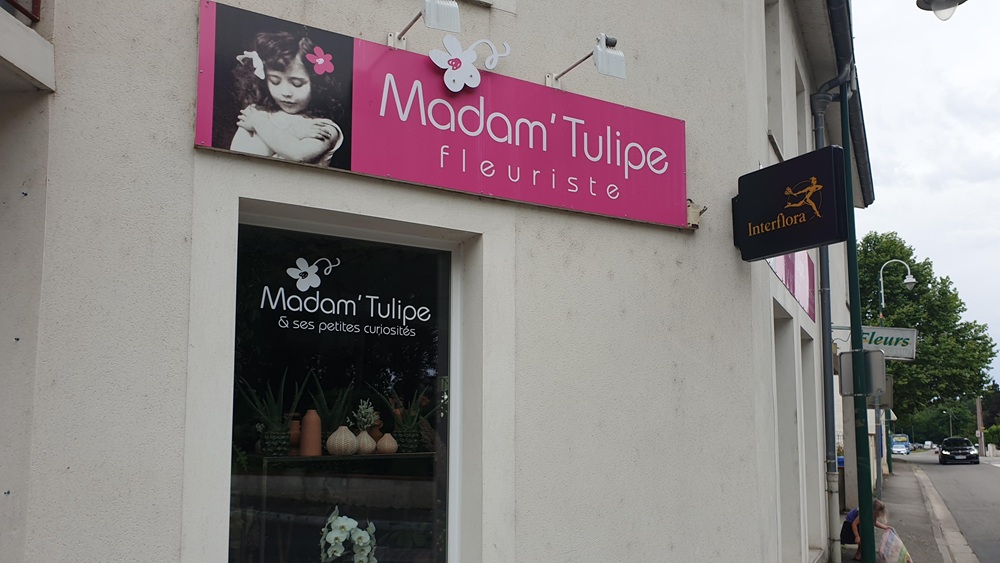 Madam' Tulipe