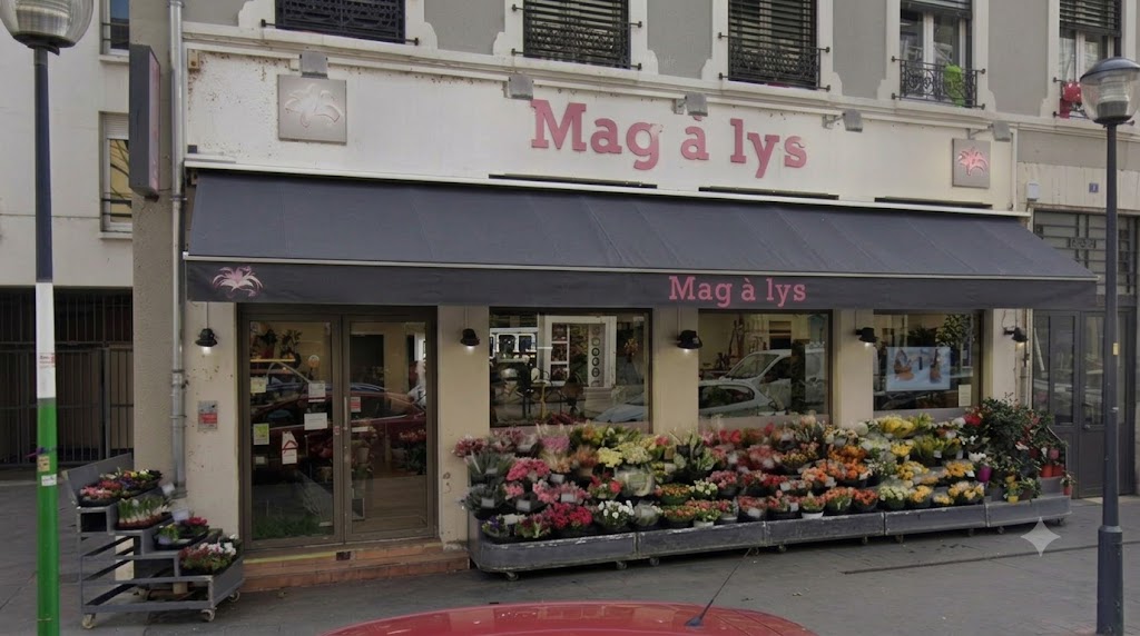 Mag A Lys