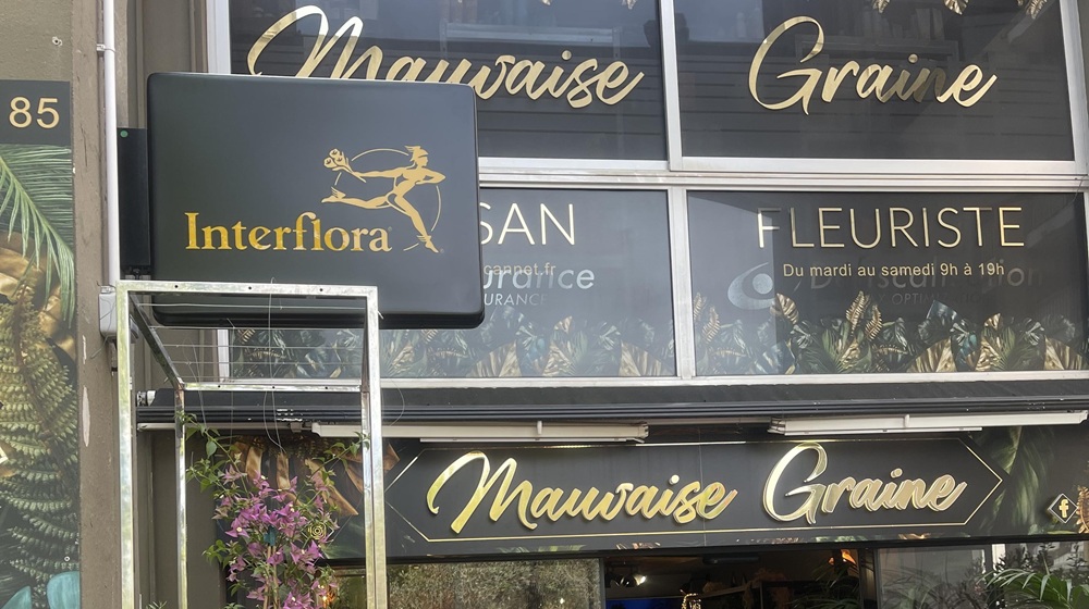 Mauvaise Graine