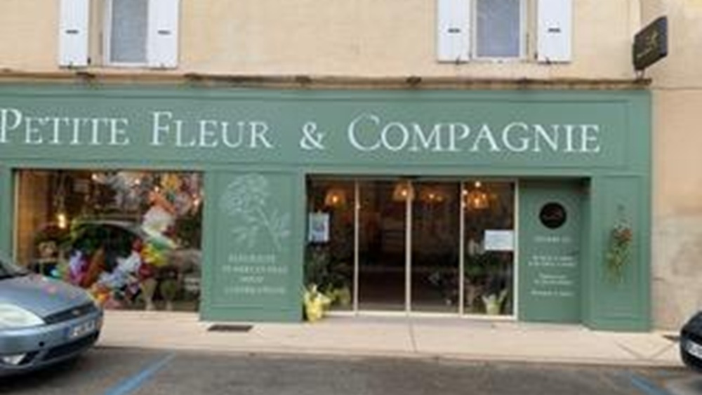 Petite Fleur et Compagnie