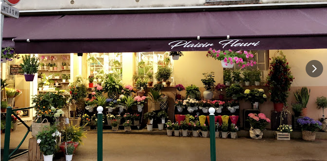 Plaisir fleuri