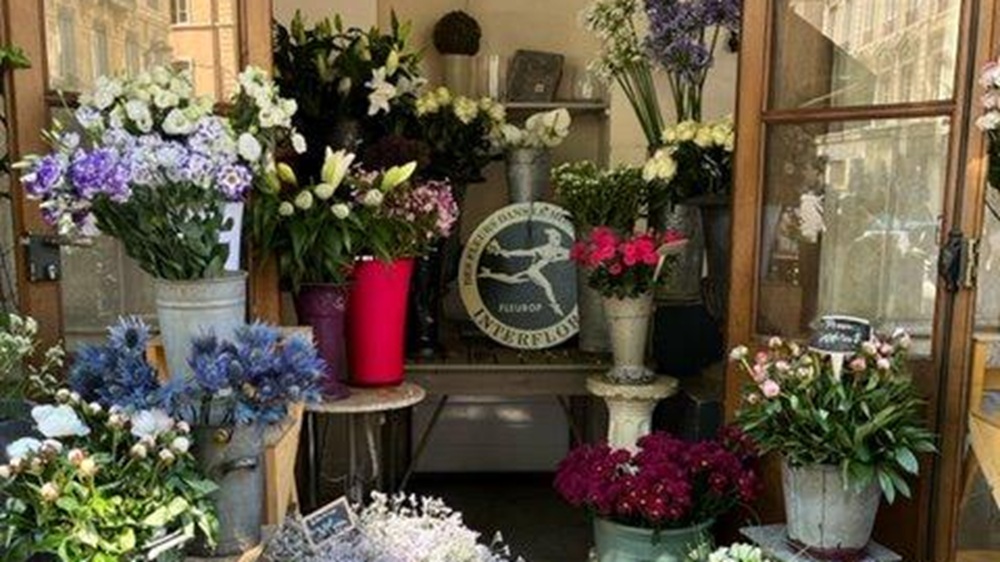 Presqu'ile Fleurs