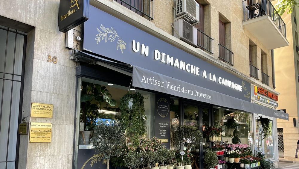 Un Dimanche A la Campagne