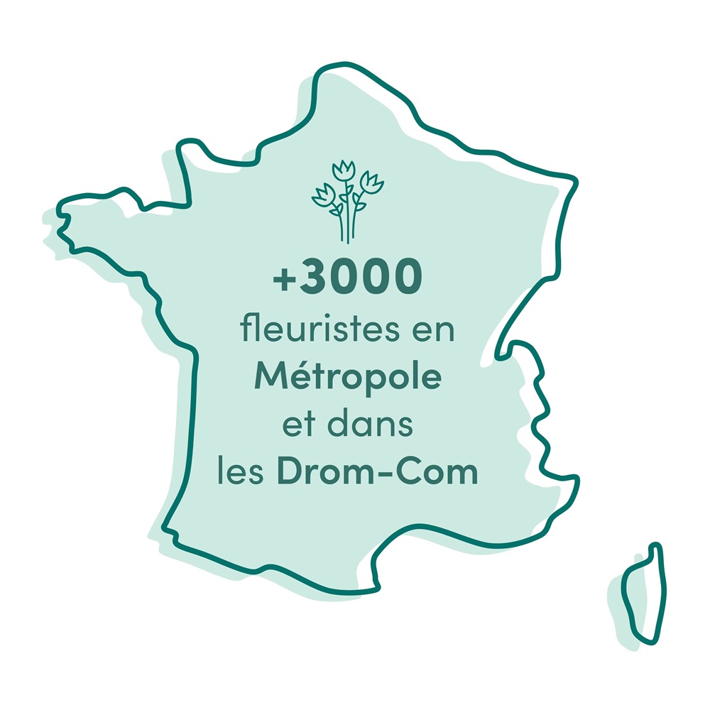 Carte de France illustrant les plus de 3000 fleuristes du réseau Interflora en Métropole et Drom-Com