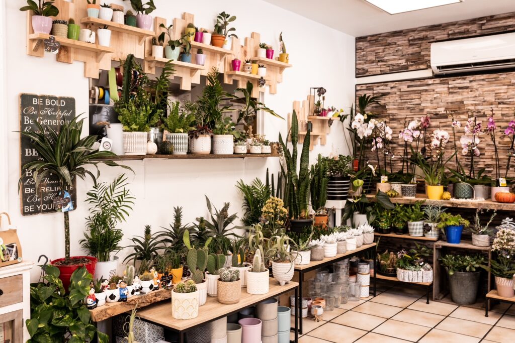 Boutique Au bouton d'or
