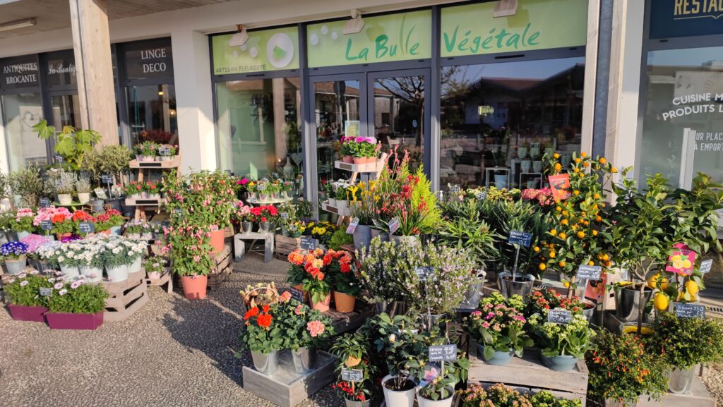 La Bulle Vegetale