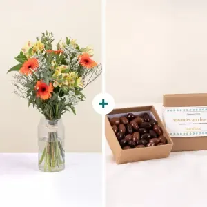 Soleil et ses amandes au chocolat