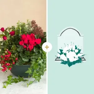 Amitié éternelle et sa livraison sur tombe