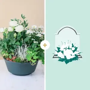 Lumineux souvenir et sa livraison sur tombe