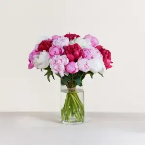 Brassée de pivoines variées