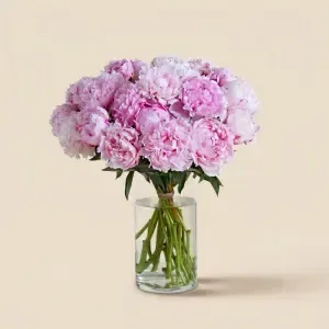 Brassée de pivoines rose pâle