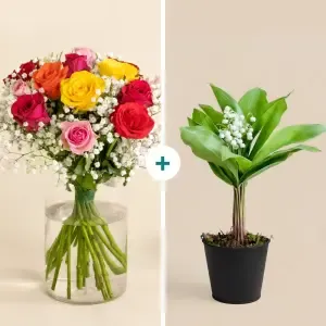 Petit trésor et son bottillon de muguet