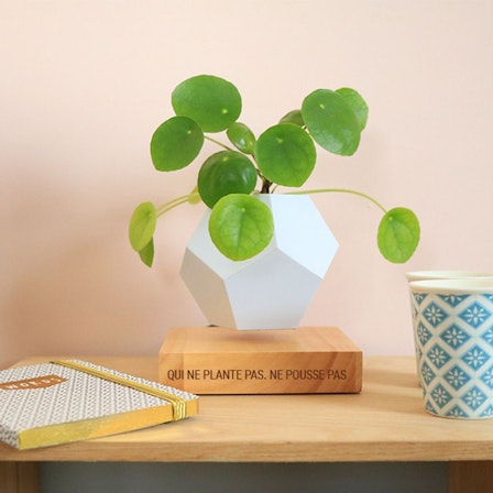 1750959075-1202857-2025