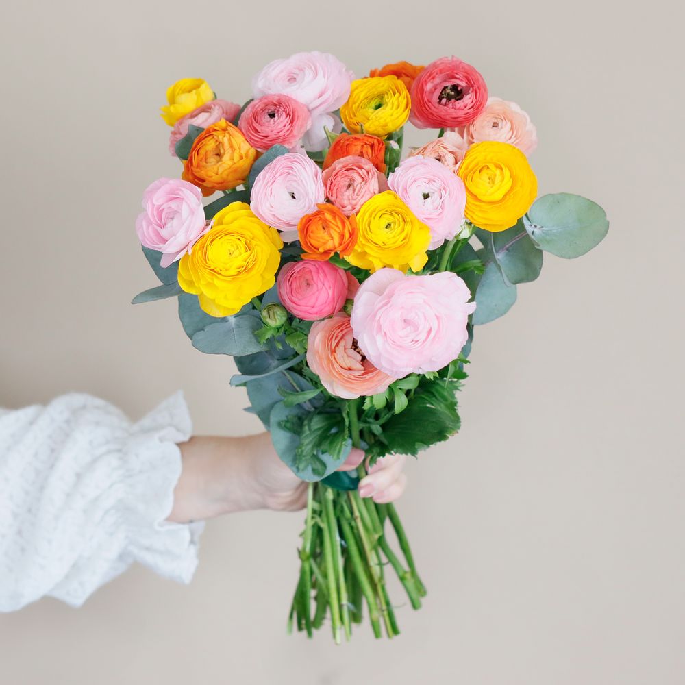 Brassée de renoncules