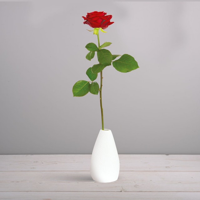 Rose rouge unique