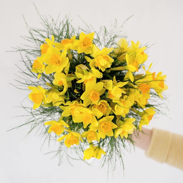 Brassée de jonquilles