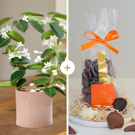 1750959075-1202857-2025