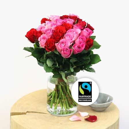 1750959075-1202857-2025