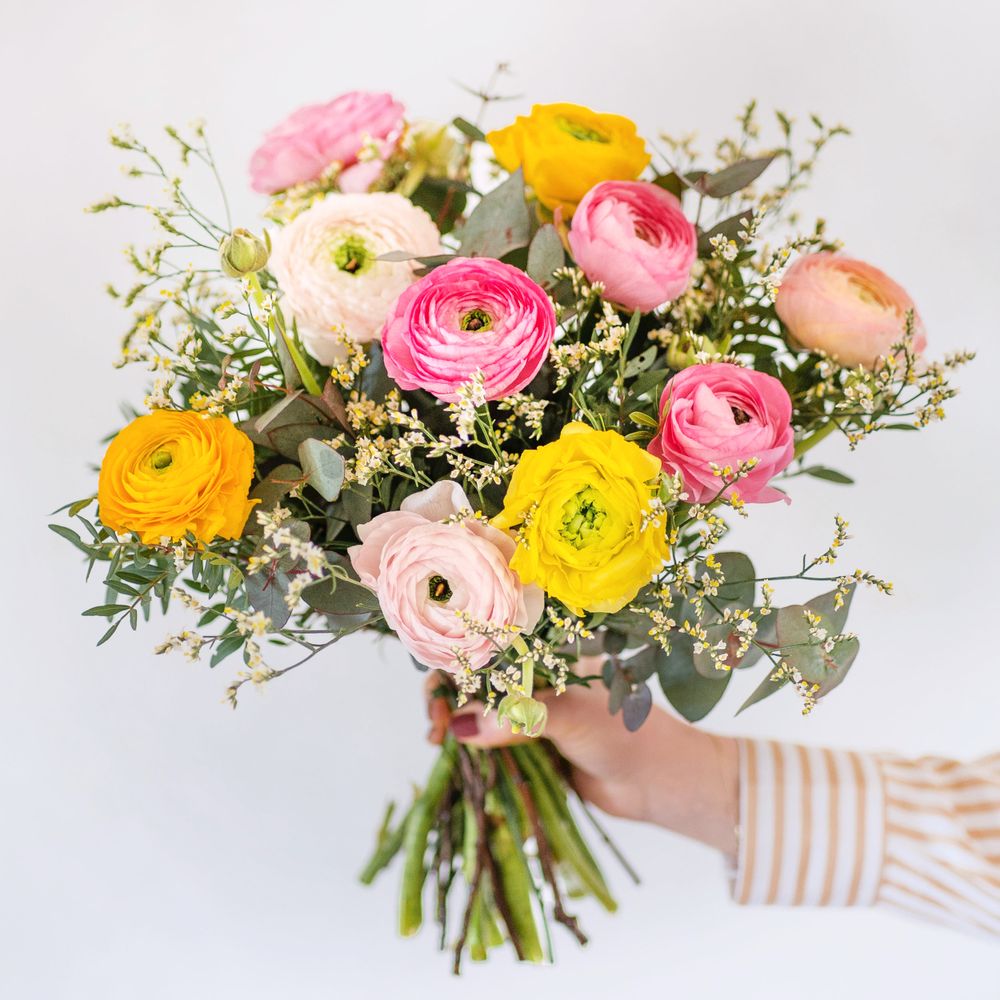 Nos merveilleuses renoncules