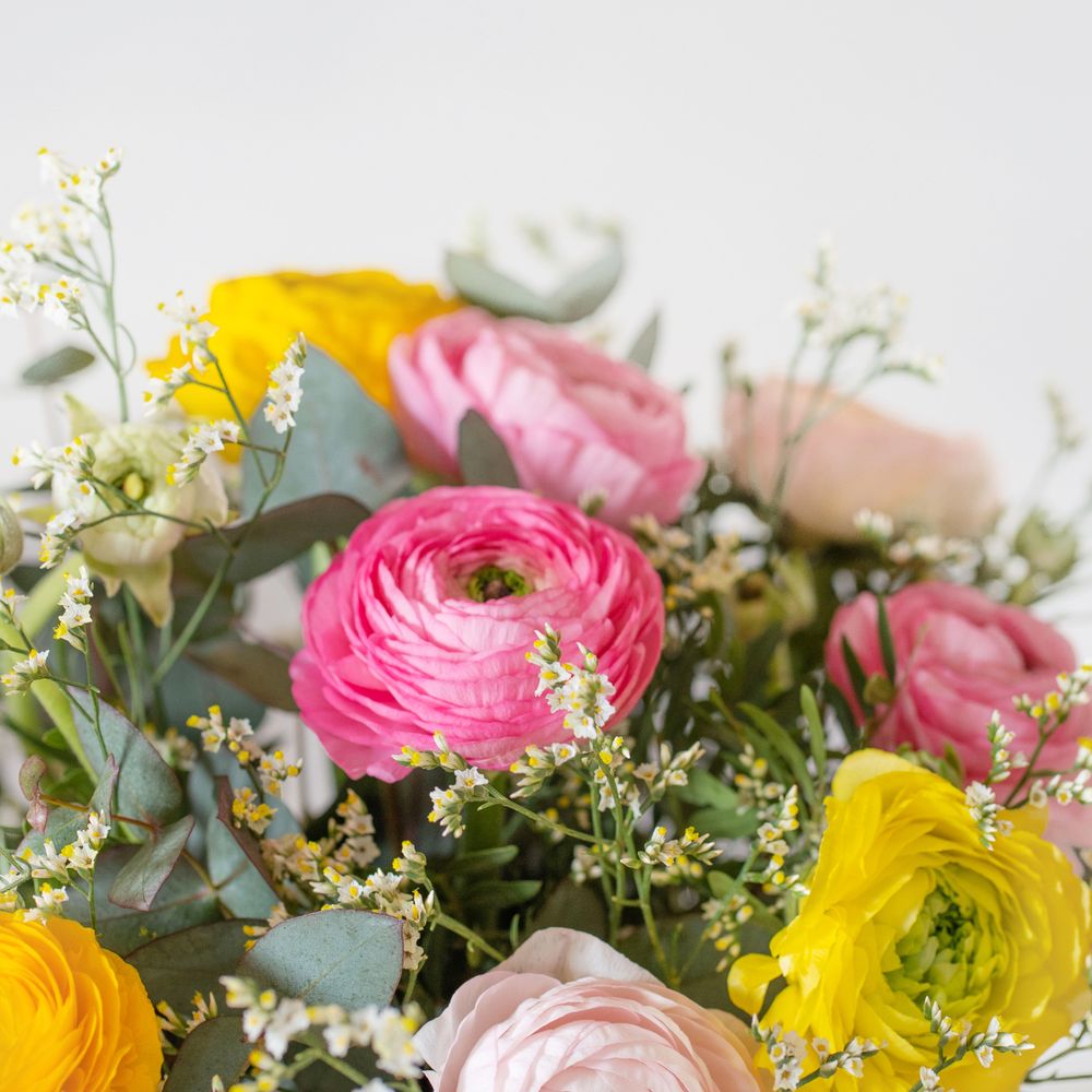Nos merveilleuses renoncules et ses amandes au chocolat