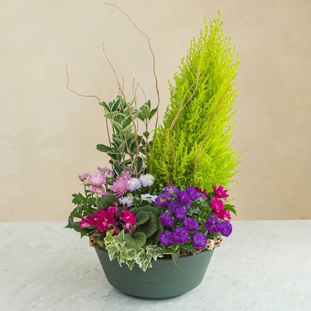 1750959075-1202857-2025