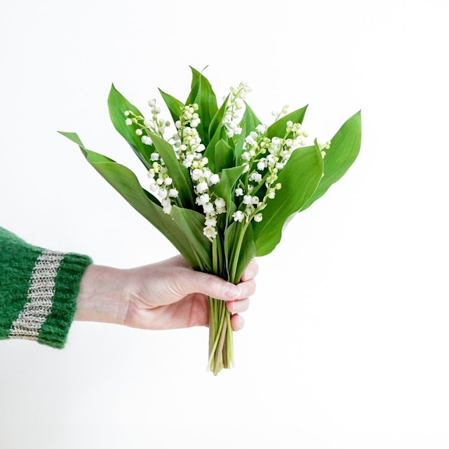 Bouquet de muguet