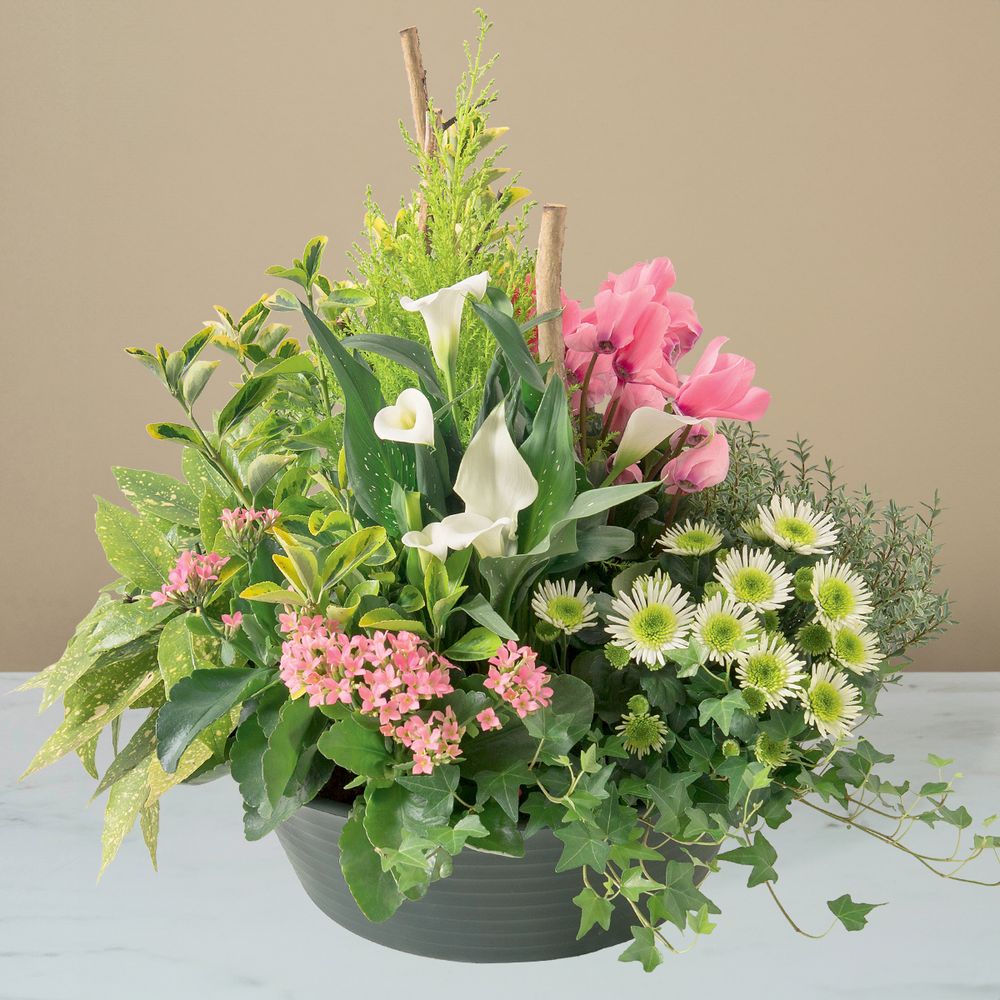 Coupe de plantes funéraire : Délicates pensées, coupe funéraire