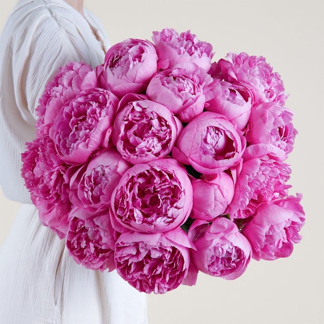 Brassée de pivoines rose vif