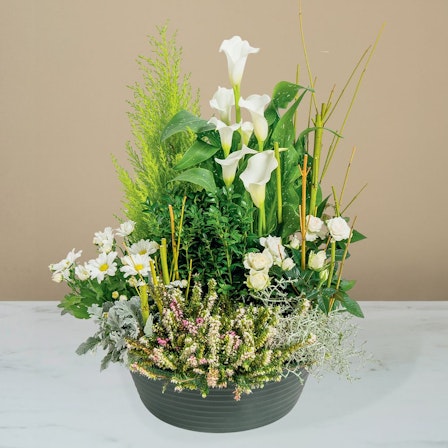 1750959075-1202857-2025