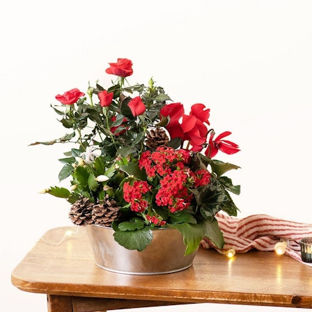 1750959075-1202857-2025