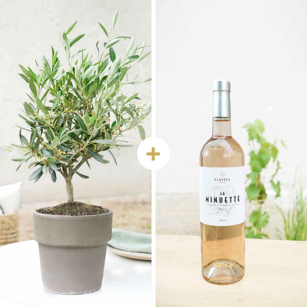 Olivier et son vin rosé "La Minuette"