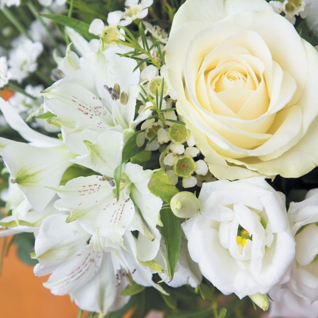 Jade et son vase offert