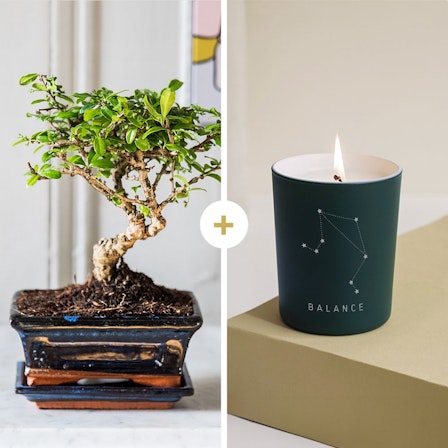 1750959075-1202857-2025