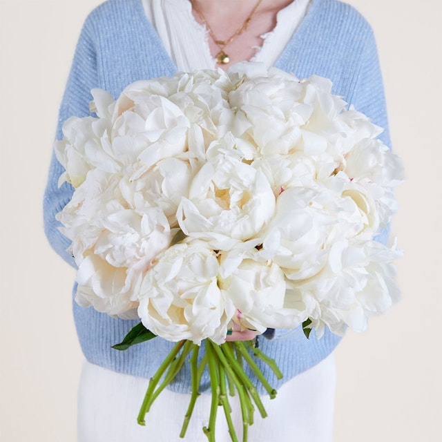 Brassée de pivoines blanches
