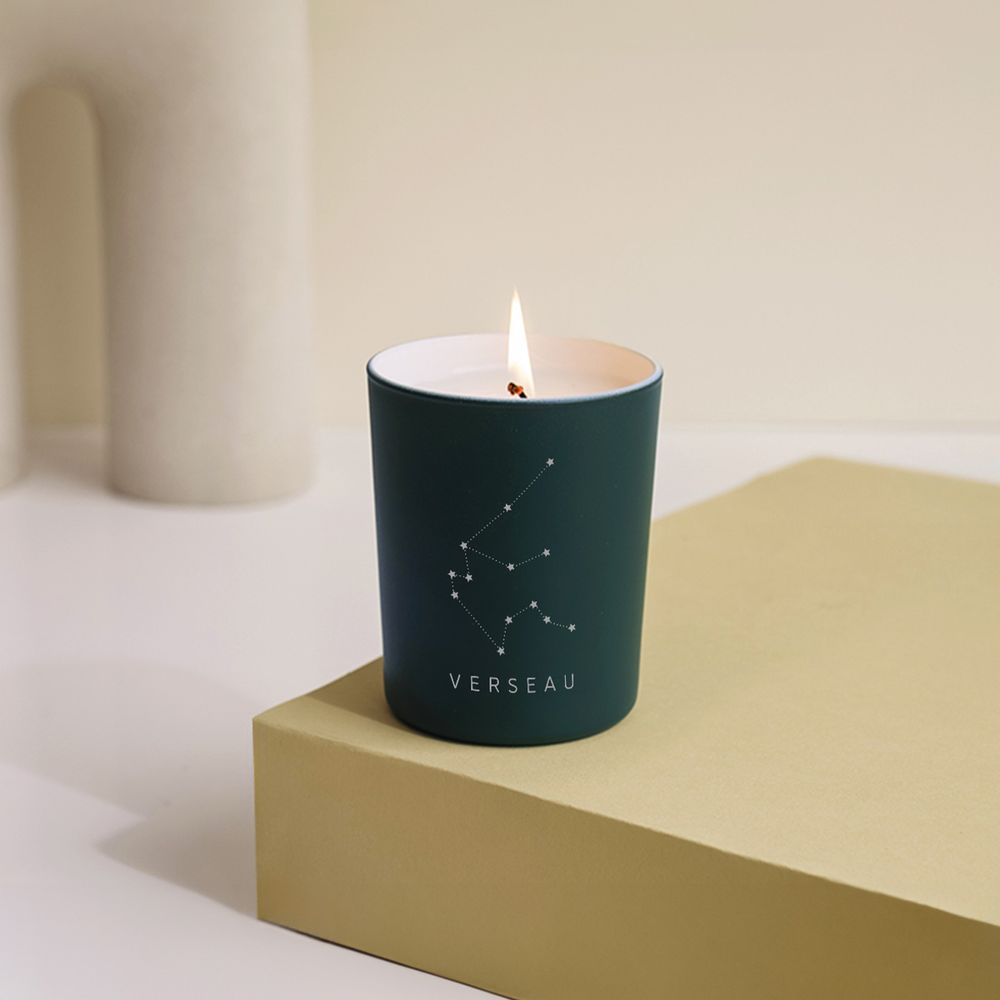 Bonsai Carmona- Verseau