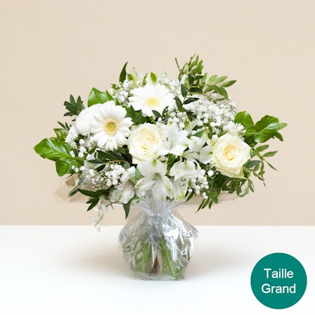 1750959075-1202857-2025