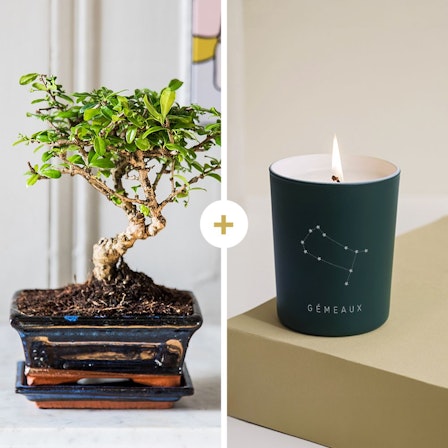 1750959075-1202857-2025